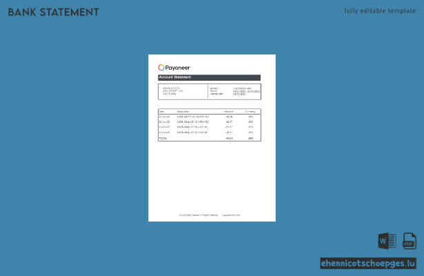 USA Payoneer Kontoauszug Excel-Beispielvorschau